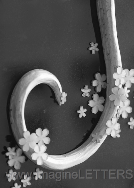 Wall_Art_Alphabet_Photography_Art_ 1085.jpg